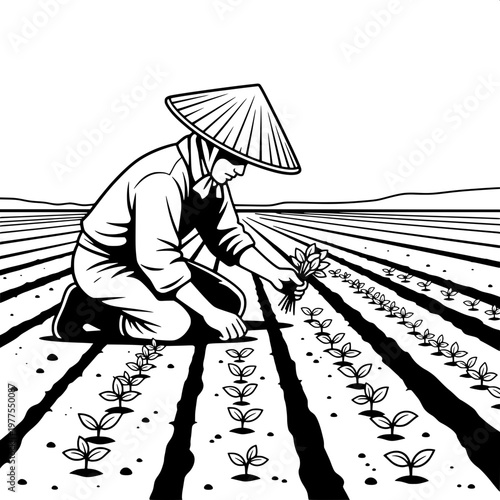 Farmer planting rice seedlings in traditional conical hat on terraced field at sunrise