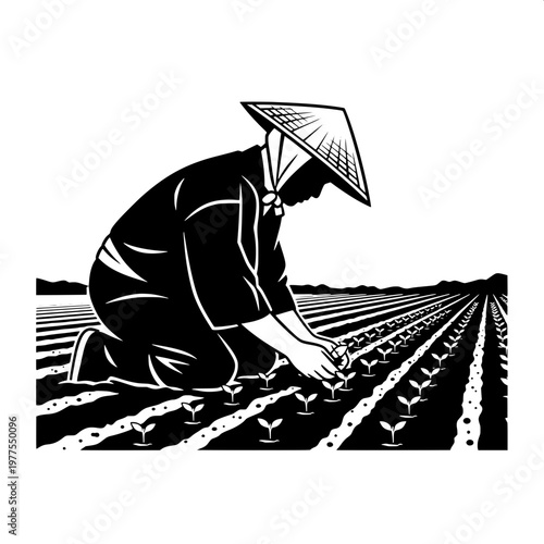 Farmer planting rice seedlings in traditional conical hat under soft daylight