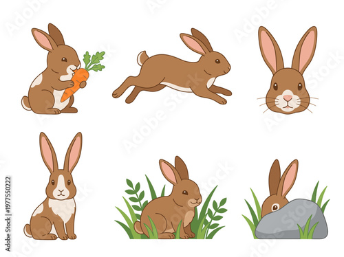 Rabbit vector illustration set: bunny hopping, eating carrot, sitting, and hiding on white background