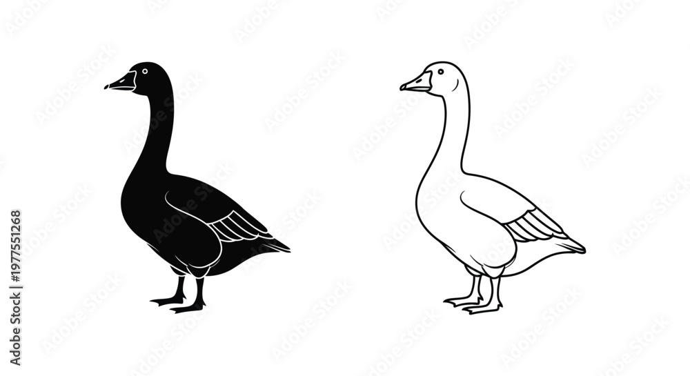 Fototapeta premium Black and White Ducks Illustration Guide Vector
