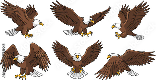 Bald Eagle Flying Illustration Set Featuring Spread Wings and Landing Poses Detailed Bird of Prey Wildlife Animal Vector Collection.