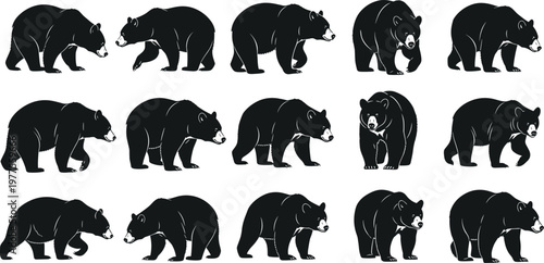 Bear Silhouette Collection Featuring Multiple Walking and Standing Grizzly Bear Poses in Side View Wildlife Animal Vector Set for Design.