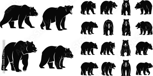 Bear Silhouette Collection Featuring Standing Walking and Roaring Grizzly Bear Poses in Various Sizes Wildlife Animal Vector Set for Design.