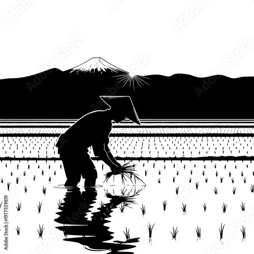 Farmer planting rice seedlings in flooded paddy field at sunrise silhouette