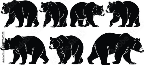 Bear Silhouette Illustration Set Featuring Detailed Walking Grizzly Bear Poses in Side View Wildlife Animal Vector Collection for Creative Design.