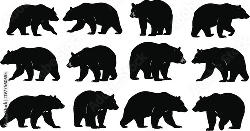 Bear Silhouette Set Featuring Walking and Standing Grizzly Bear Poses in Side View Isolated Wildlife Animal Vector Collection for Design.