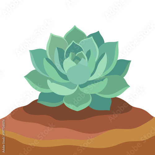 This artistic representation features a beautifully styled succulent plant, with layers of pale green leaves set against a warm background, symbolizing tranquility and beauty.