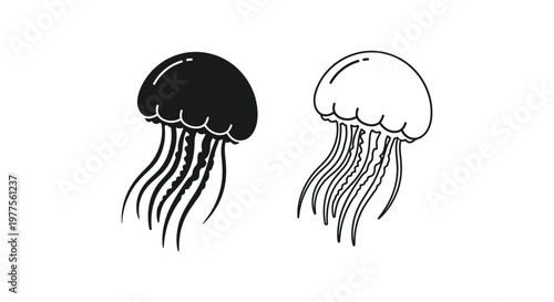 Black and White Jellyfish Illustration Designs Vector