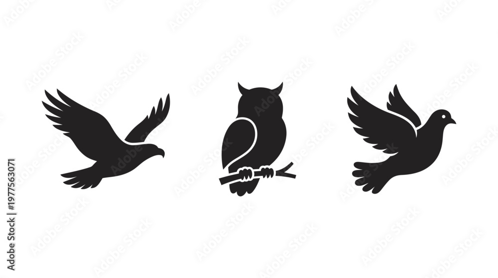 Obraz premium Silhouette of birds in flight.