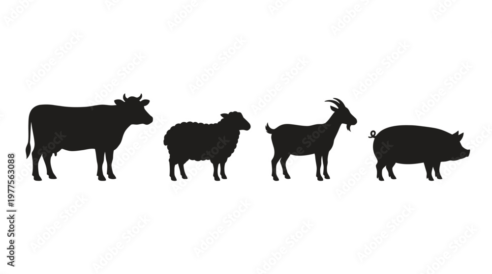 Fototapeta premium Silhouettes of farm animals standing.