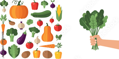 Vegetables collection vector illustration with hand holding fresh leafy greens including pumpkin tomato eggplant carrot corn and pepper isolated