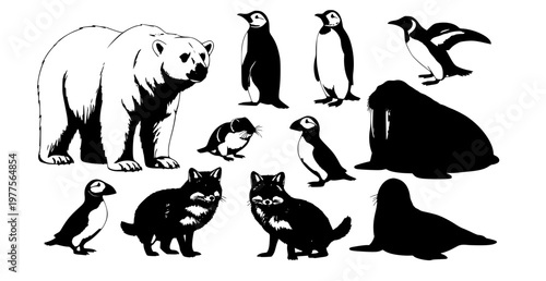 Arctic animals realistic vector set polar bear penguin walrus puffin wildlife illustration