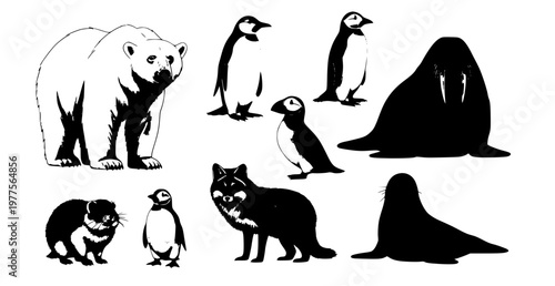 Arctic animals realistic vector set polar bear penguin walrus puffin wildlife illustration
