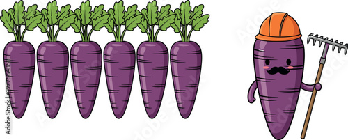 Purple carrot characters vector illustration with farmer cartoon vegetable holding rake and multiple fresh carrots isolated on white background