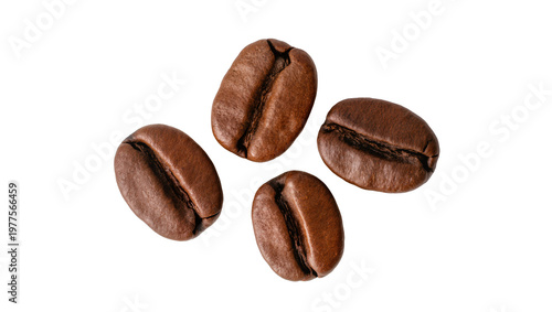 Tableau sur toile Isolated four roasted coffee beans, delicious dark brown aromatic whole grains f