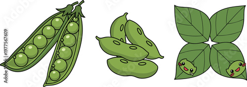 Pea pod illustration set with green peas, beans and cute leaf characters isolated on white background, fresh vegetable vector design