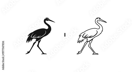 Black and White Crane Bird Silhouette Comparison Guide Vector
