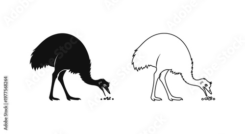 Emu Birds Foraging Behavior Illustrated Vector