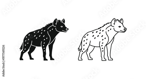 Spotted Hyenas: Unique Traits & Facts Vector