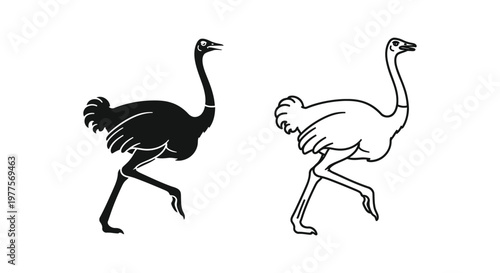 Ostrich Bird Illustrations: Unique Art Designs Vector