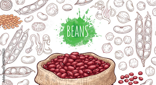 Red beans vector illustration with hand drawn legume sketches background featuring sack of kidney beans and organic food concept design