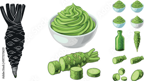 Wasabi root and paste vector illustration set featuring Japanese green condiment with sliced rhizome and culinary elements isolated on white background