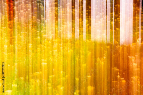 Abstract Autumn Forest: Artistic abstract background featuring golden yellow and warm orange tones created with ICM technique. Perfect for seasonal nature-themed designs and artistic backdrops.