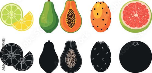 Papaya citrus and tropical fruit vector illustration set featuring sliced lime lemon grapefruit and exotic fruits isolated on white background