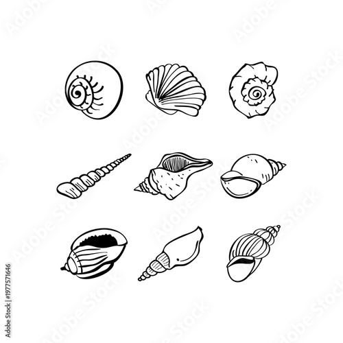 Sea life hand drawn vector illustrations. Vector set with marine life.