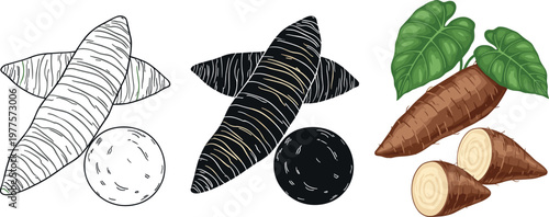 Yam Root Collection with Black, White, and Brown Varieties, Including Whole and Sliced for Organic, Agriculture, and Food Illustrations