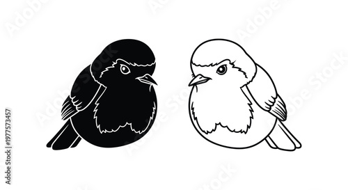 BlackWhiteBirdsIllustrationArtDesign Vector