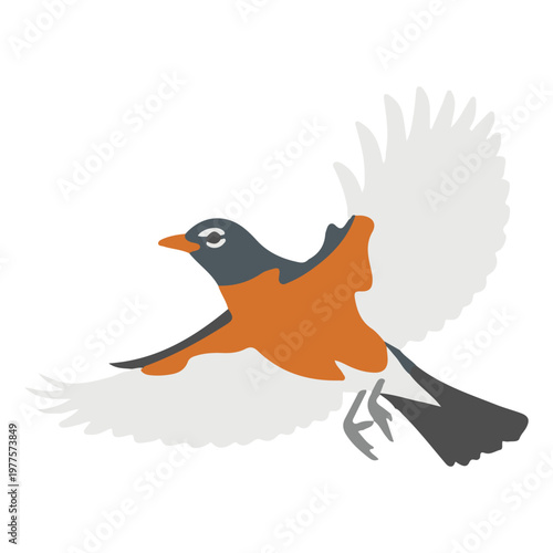 Flying bird vector illustration 