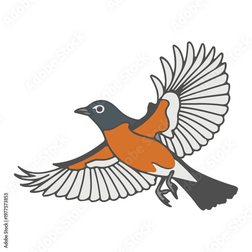  bird vector illustration