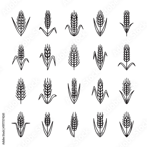 Wheat Stalk Icons Vector SetAgricultural Grain Symbols for Design