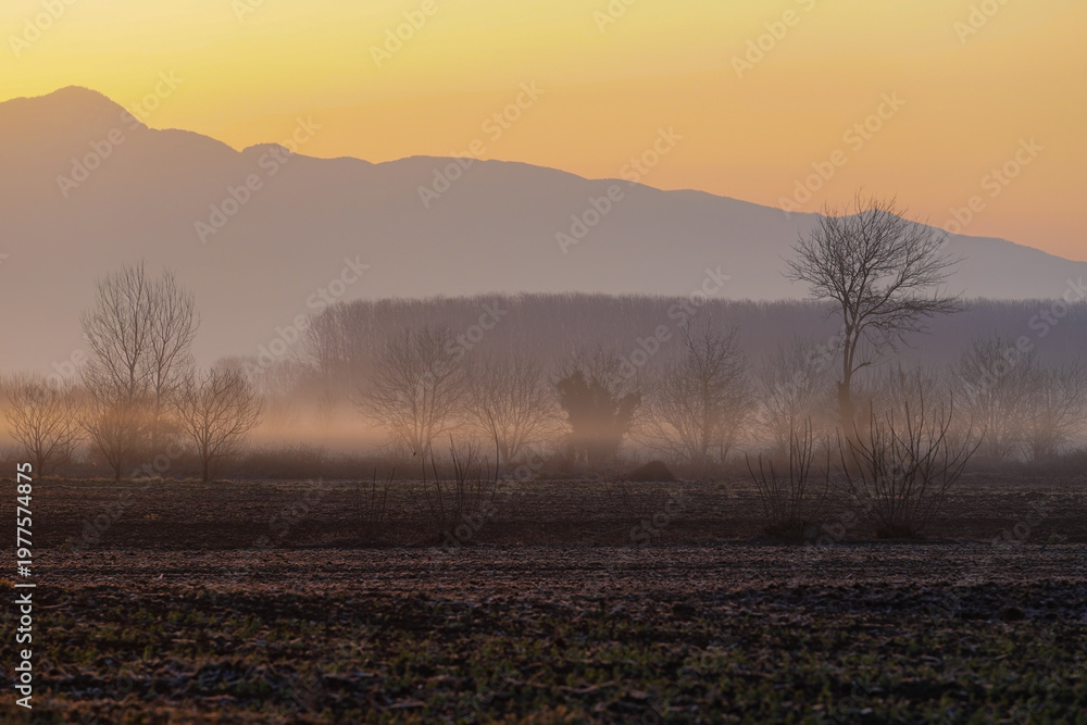 Fototapeta premium Morning nature landscape view