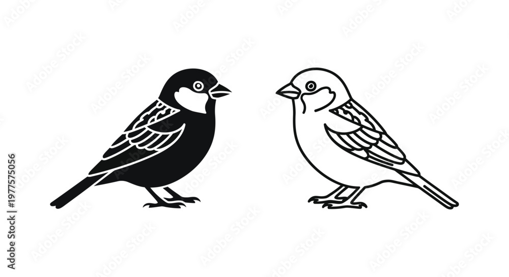 Fototapeta premium Black and White Bird Silhouettes Nature Illustration Vector