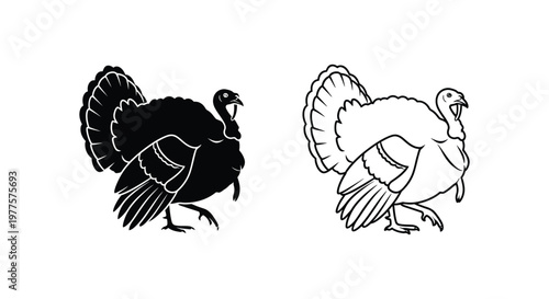 Turkey Illustration Designs - Vector Art for Branding Vector