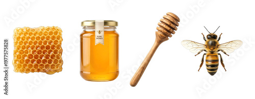 Honeycomb, honey jar, honey dipper, bee are essential elements of natural honey production and consumption.