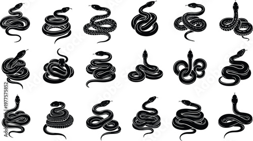 Snake silhouette illustration, reptile artwork design, serpent symbol concept, wildlife graphic representation, black white coiled striking motion icon, tattoo style variation