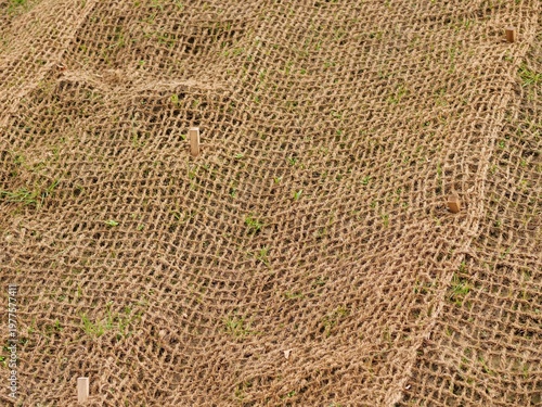 Bilde på lerret Medium shot of a sloped embankment covered with brown coir netting for
erosion control