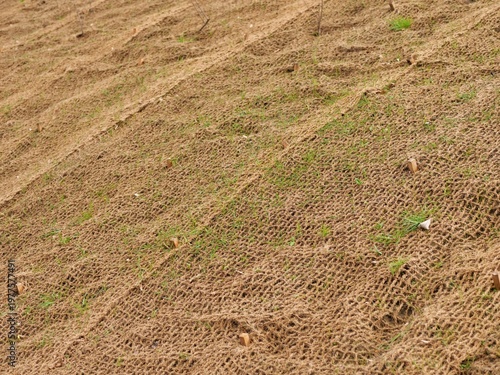 Foto Medium shot of a sloped embankment covered with brown coir netting for
erosion control