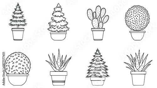 Various potted plants and trees in different shapes and sizes are shown in this illustration including cacti and succulents in pots.