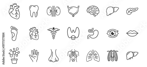 medical icons set with human internal organs and body parts line art vector illustration on transparent background