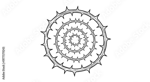 Concentric circles of thorns, abstract mandala, black and white