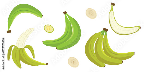 Green Banana Vector Set – Whole, Peeled and Sliced Unripe Bananas, Fresh Tropical Fruit Collection Isolated on white Background. For Smoothies, Healthy Recipes and Cooking design.
