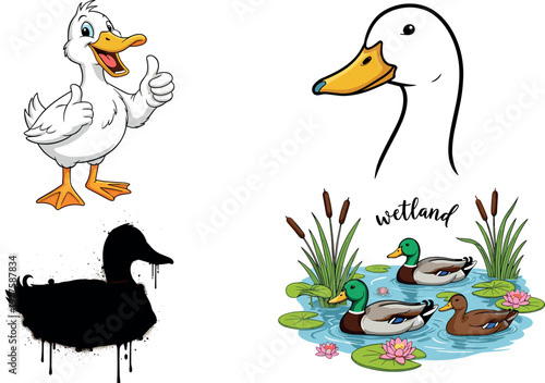 Duck vector set with cartoon character, realistic head, silhouette and wetland scene, versatile waterfowl illustrations collection for design projects