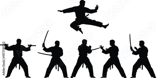 Martial arts fighters performing karate and samurai sword techniques in silhouette.
