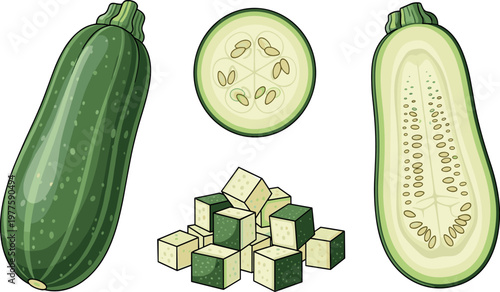 Fresh green watermelon radish vegetables with leafy tops and sliced pieces isolated organic healthy food vector illustration collection