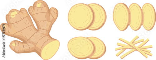 Garlic bulb and cloves vector set with peeled and whole pieces, fresh organic ingredient illustration isolated on white background