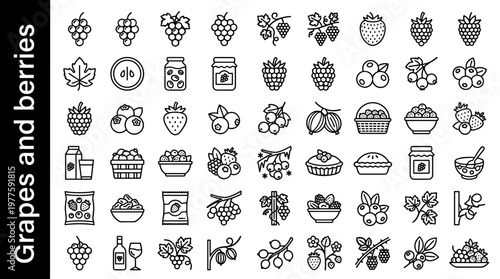 Collection of fresh grapes and various berries icons in a clean line art style